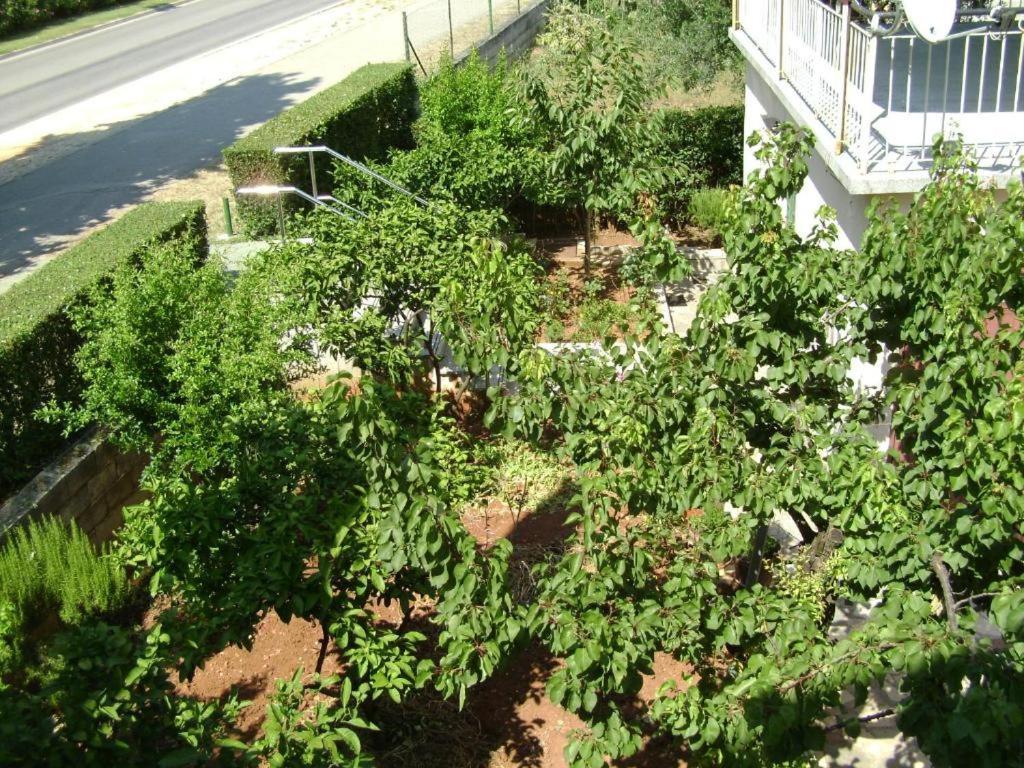 Apartmani Tome 자다르 외부 사진